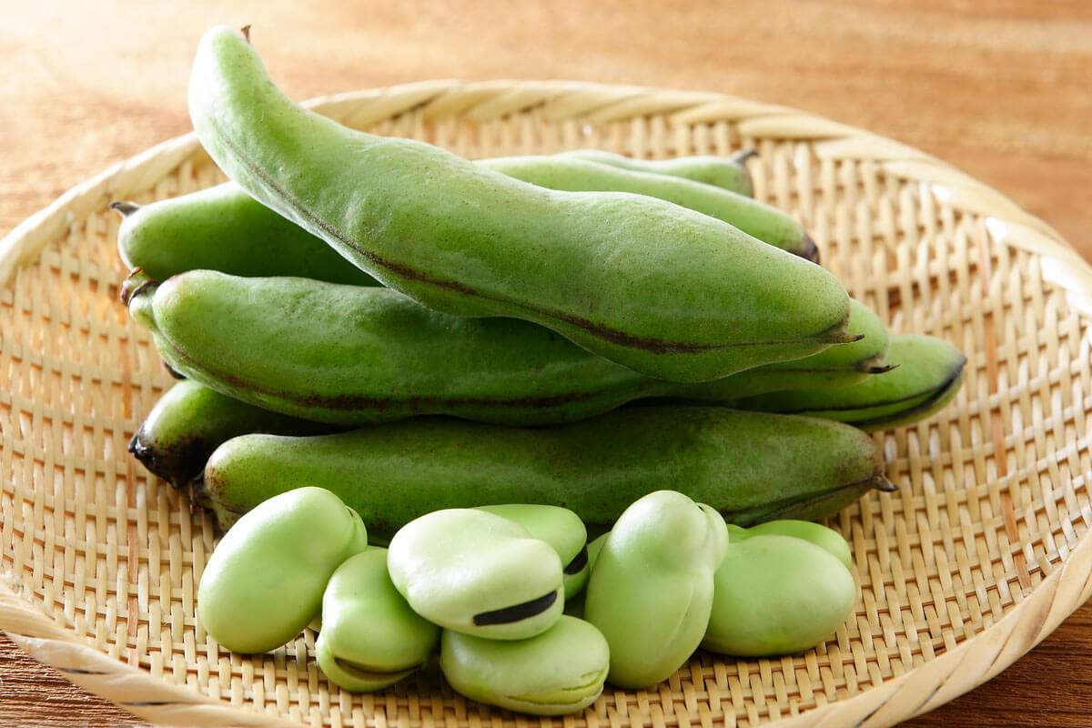 そら豆は鮮度が命 美味しいそら豆の選び方と保存方法のコツ 簡単男飯レシピ 作り方 Gohan