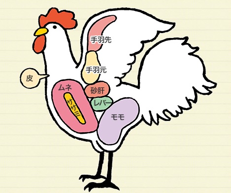 鶏肉の部位の解説図